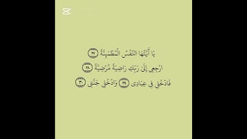 سورة الفجر أية 27 الى 30