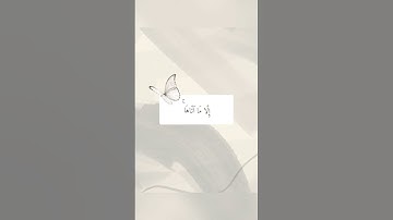 لا يكلف الله نفسا إلا وسعها / حالات واتس اب دينيه .. قرآن كريم