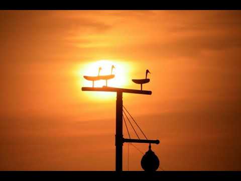[TJ노래방라운지] 진또배기 - 이성우