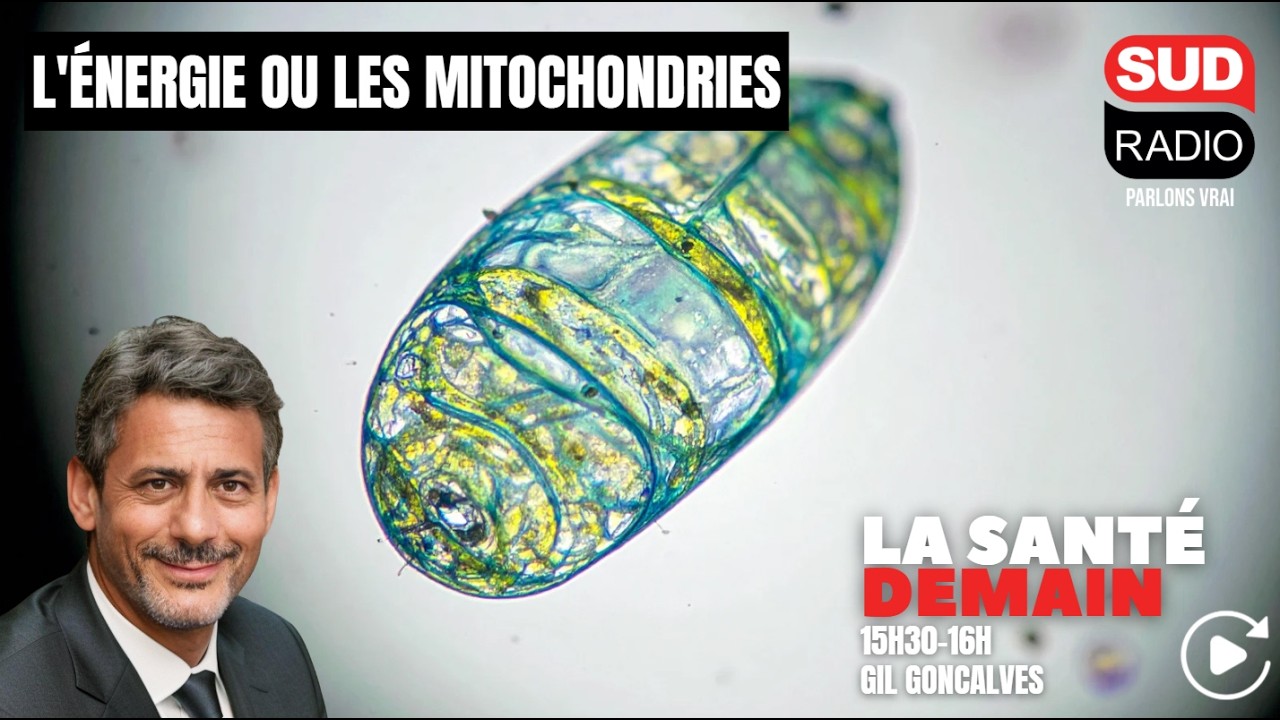 L’énergie ou les mitochondries - Emission du 15 mars 2026