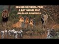 Kruger park safari trip wildlife sightings visual documentary