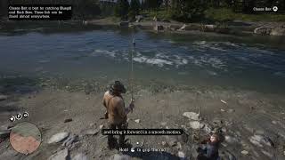 How to Catch Fish in RDR2 PC