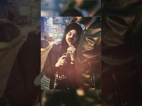 حبهم في فؤادي حالات واتس