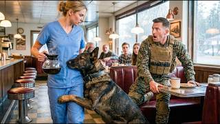 “JUST A NURSE,” Elite NAVY SEAL Scoffed — Until His K9 Hid Behind Her Legs