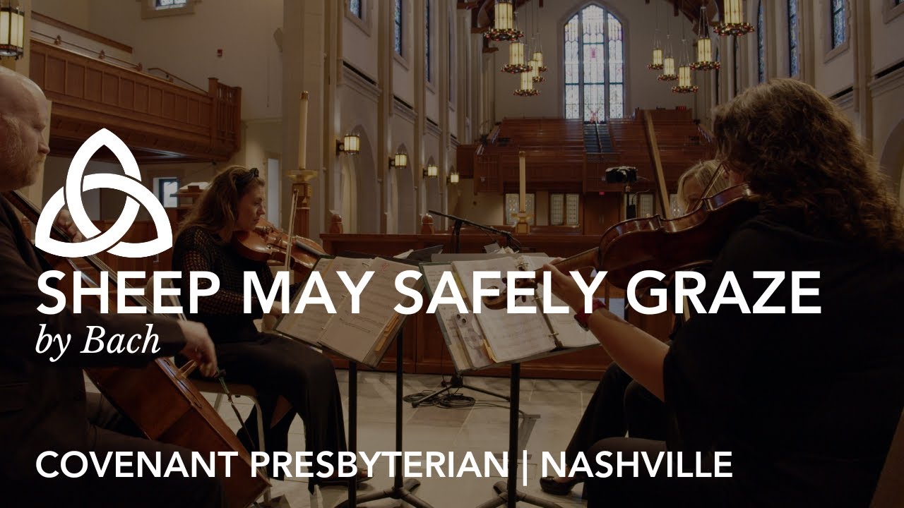 Sheep May Safely Graze | Bach | Wedding Music Excerpts - YouTube