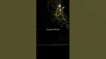 افأنت تهدي العمي ولو كانوا لا يبصرون /القارئ عبدالرحمن مسعد #قرآن