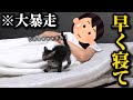 ひとりぼっちの子猫と初めて一緒に寝たらクソガキすぎて全然寝れませんでぴた