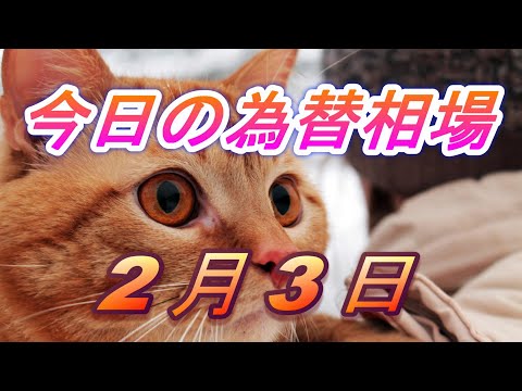 【TAKA FX】ドル、円、ユーロ、ポンド、豪ドルの為替相場の前日の動きをチャートから解説。2月3日