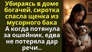 видео: Убираясь в доме богачей, сиротка спасла щенка из мусорного бака… А едва потянув за ошейник, обомлела картинка: Убираясь в доме богачей, сиротка спасла щенка из мусорного бака… А едва потянув за ошейник, обомлела