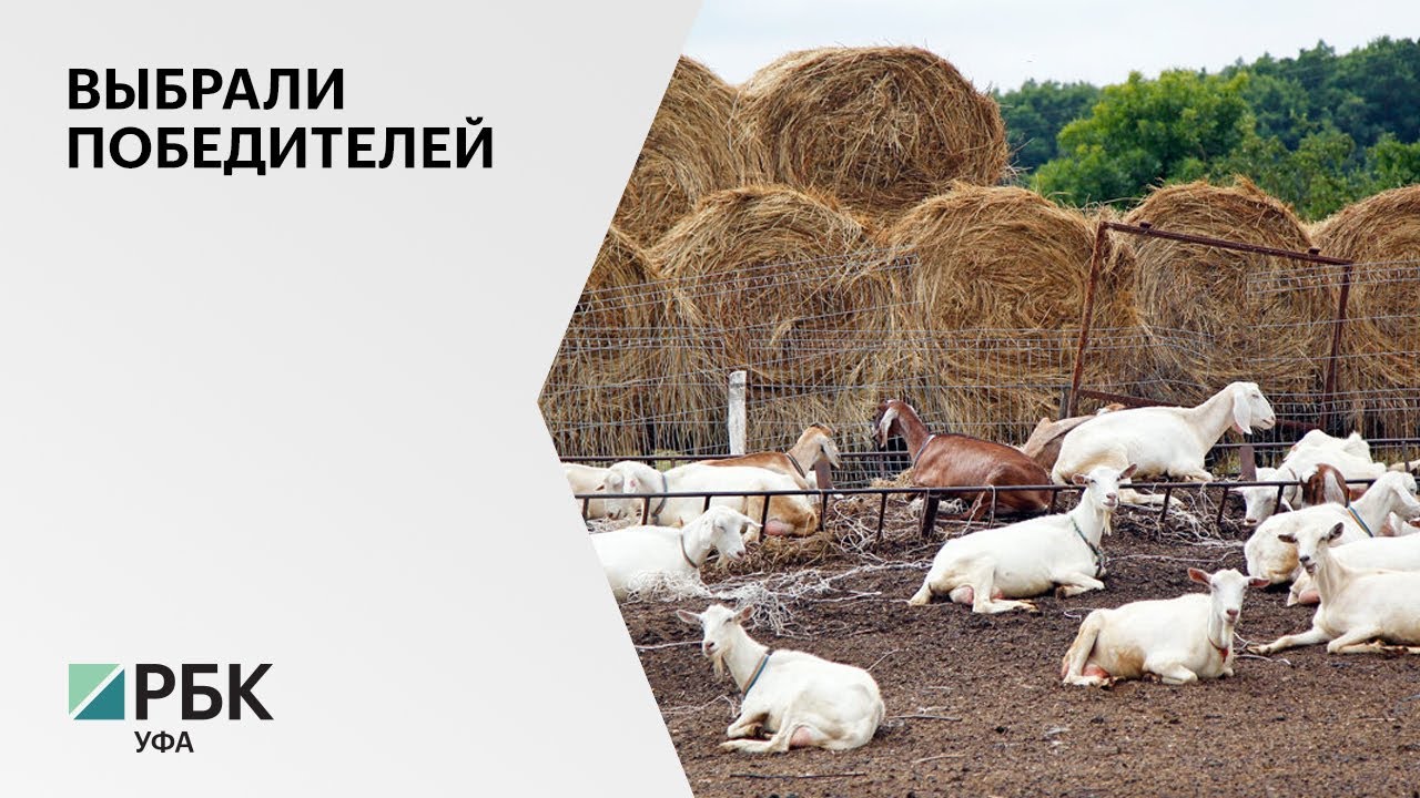 Грант семейная ферма 2021 порядок