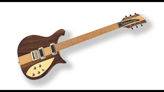 Rickenbacker 650 Explained