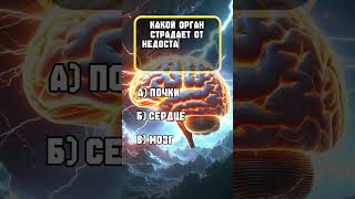 Викторина «Вопросы про Привычки» #викторина #вопросы