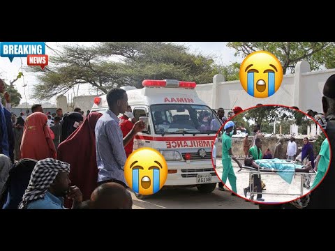 IN KABADAN 40 QOF KU DHAAWACMAY HOTEL XAYAAL😭😭😭