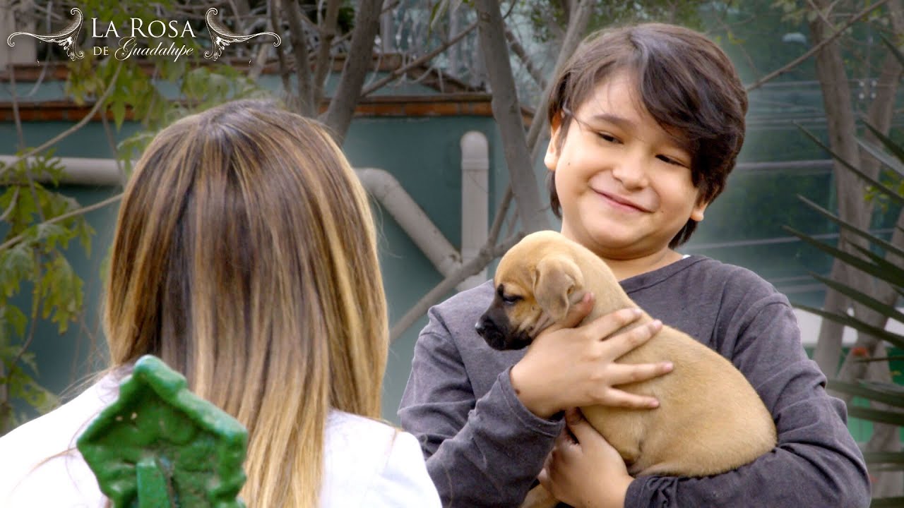 La Rosa de Guadalupe | LA NATURALEZA DEL AMOR [Parte 2] | Capítulo 2026 Full HD