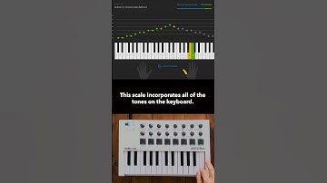 Learn The Chromatic Scale 🕺