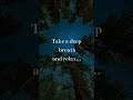 Stress Relief LoFi Music 🎶, Rain 🌧️, Fireplace 🔥