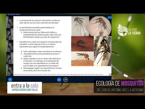 Ecología de mosquitos / Dr. Carlos Antonio Abella Medrano