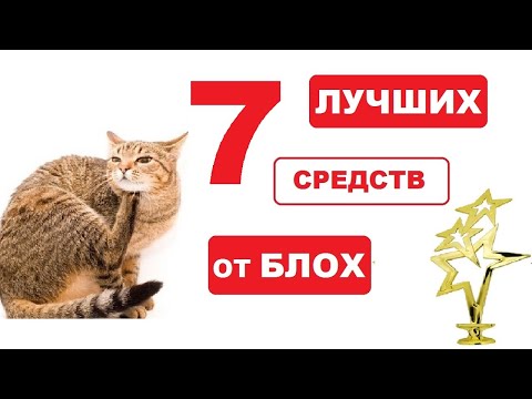 Самые лучшие капли от блох и клещей для кошек и котов