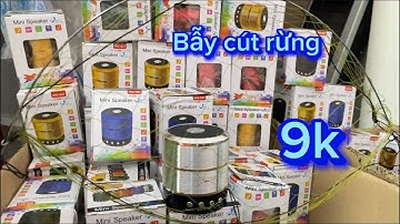 Bộ bẫy chim cút rừng hiệu quả giá rẻ ,  loa bẫy cút , miễn ship toàn quốc - nhận hàng kiểm tra