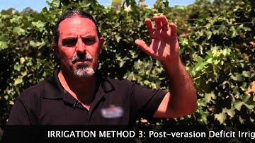 IRRIGATION SCHEDULING FOR VINEYARDS