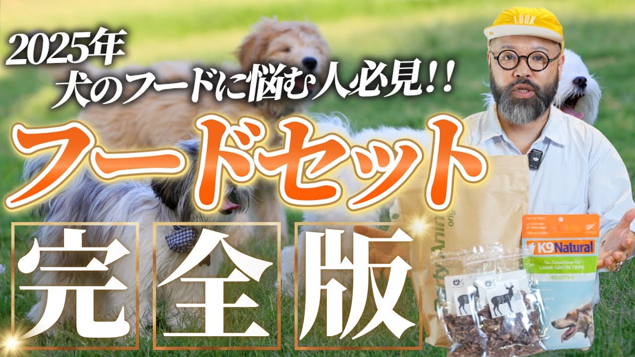 【犬のご飯】犬が健康に生きるための食事は何かを考えました！