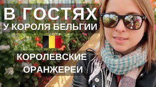 КОРОЛЕВСКИЕ ОРАНЖЕРЕИ БРЮССЕЛЯ / ЭКЗОТИЧЕСКИЕ ЦВЕТЫ / СМУРФИКИ