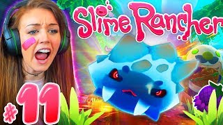 🐯*NEW* LOCATION 'THE WILDS!' + NEW SABRE SLIMES!🐯(Slime Rancher #11!🐣)