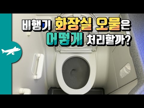 비행기 화장실 오물은 어떻게 처리할까?