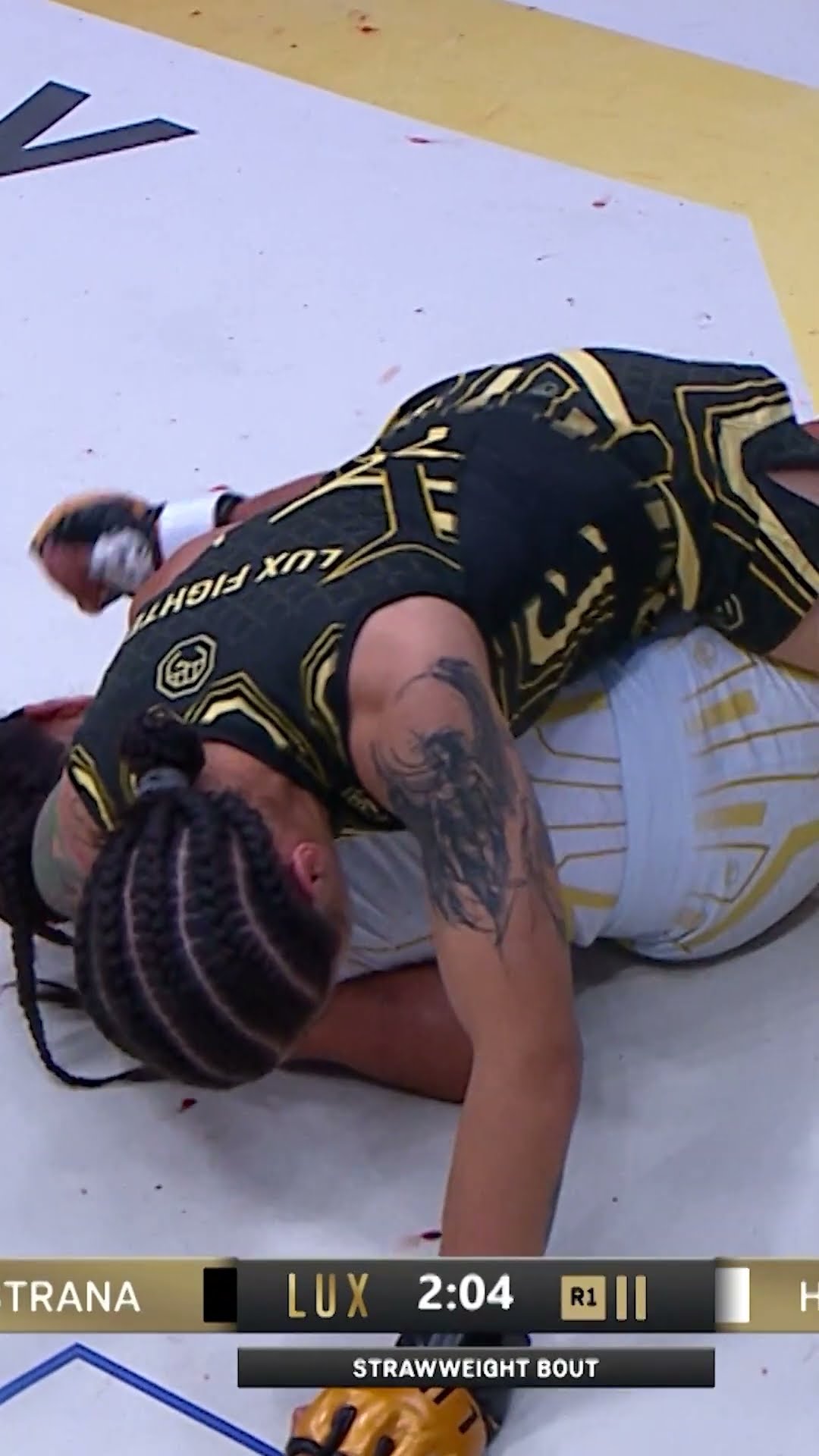 ¡PASTRANA VS HERNÁNDEZ EN LA MEJOR NOCHE DE MMA EN LUX!
