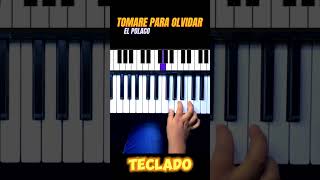 Tomaré Para Olvidar El Polaco Teclado #Tomareparaolvidar #Elpolaco #Musichuayotuma