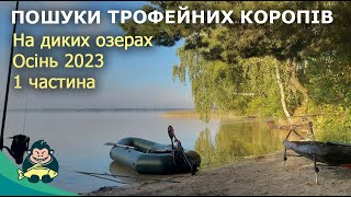 Ловля коропа на дикарі. Осінь-2023, 1 частина