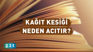 Kağıt kesiği neden çok acıtır? #Shorts