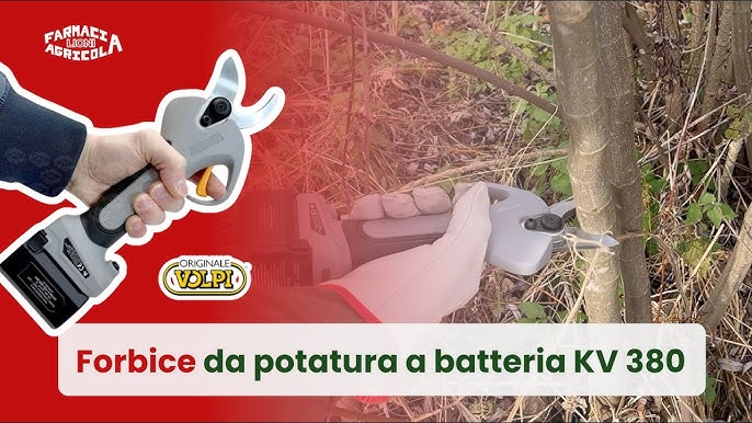 Forbice per potatura a batteria  Colmac Italia - Attrezzature per