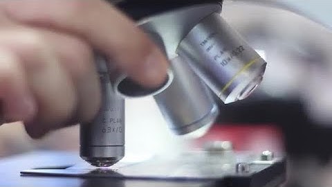 Man Handling Microscope In Laboratory Stock Video