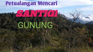 Ciri Ciri Santigi Gunung