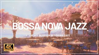 Bossa Nova Jazz | Cafe with dancing cherry blossoms