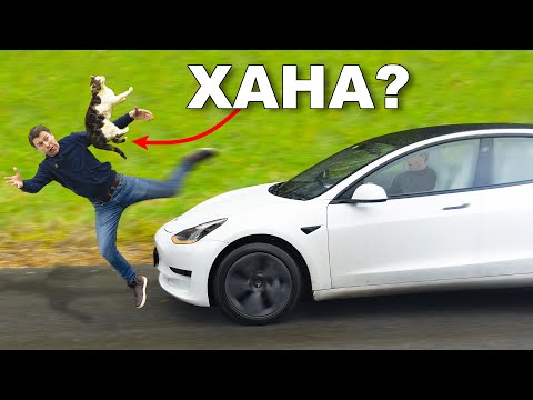 Видео: УБЬЁТ ли Tesla кошку?