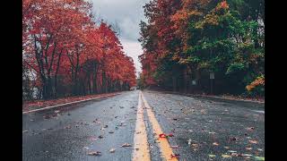 rainy autumn day ~ music for relaxing and reading