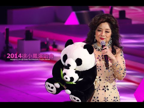 徐小鳳(夜風中)