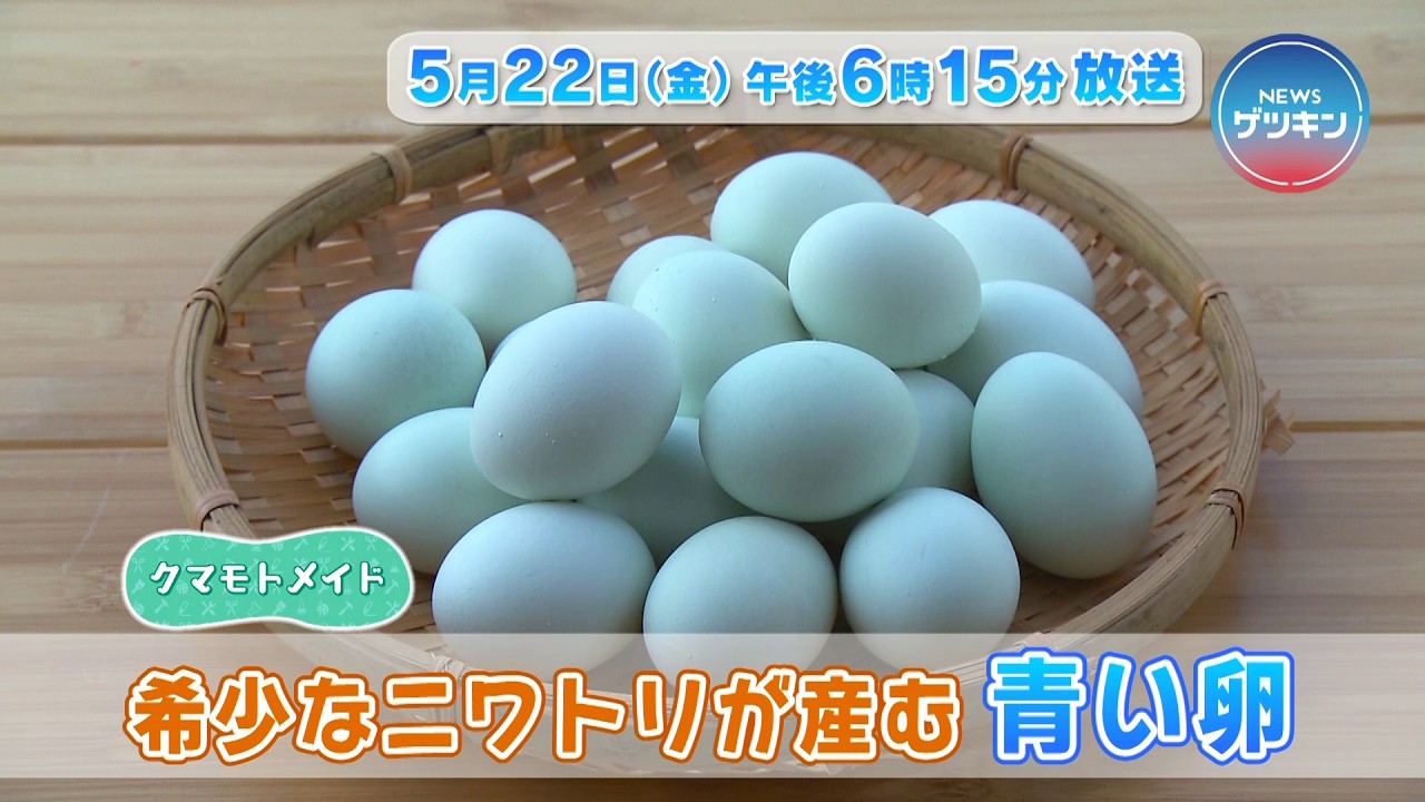 【番宣】5月22日(金)NEWSゲツキン