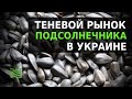 Станислав Таршин | «ГрадОлия»: Латифундист без галстука