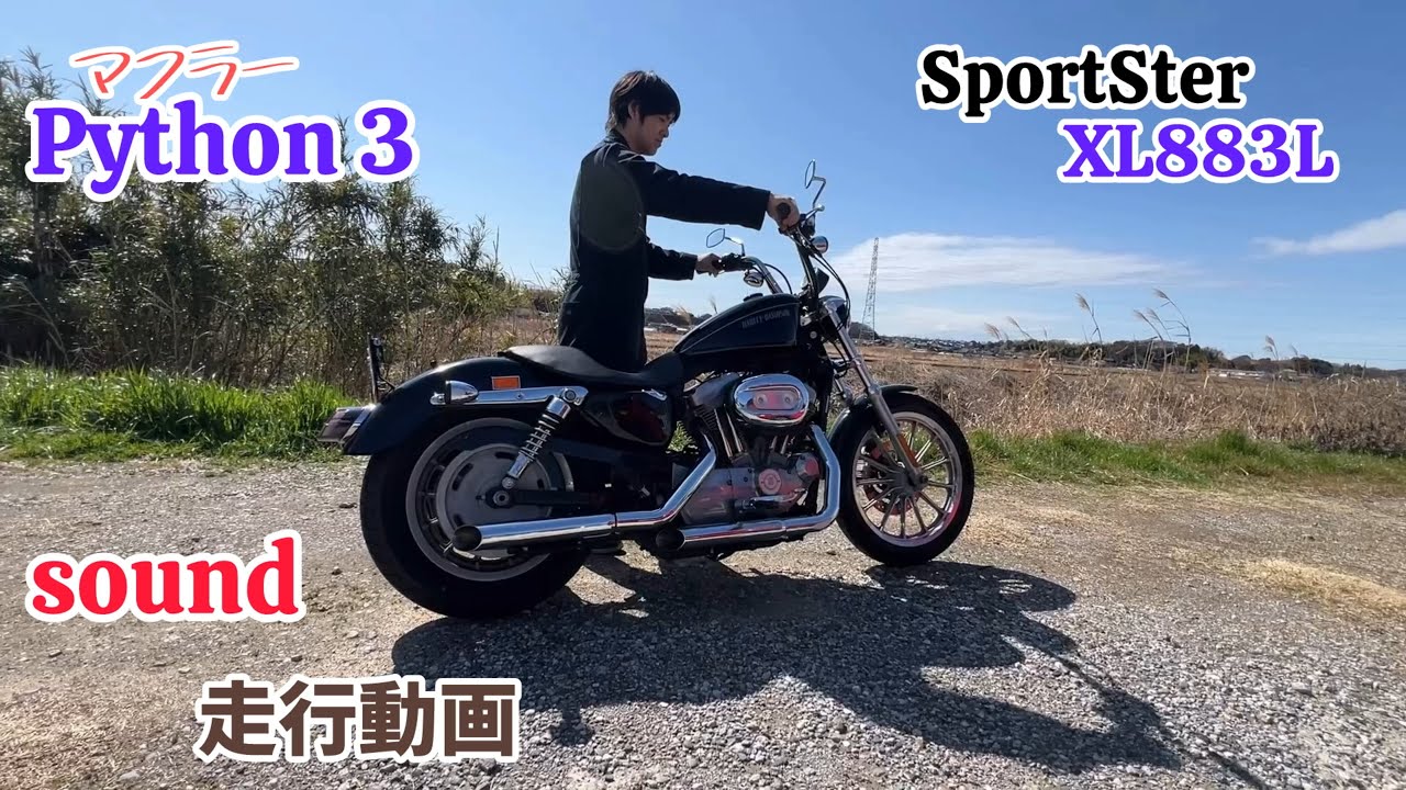 Python3マフラーサウンド走行SportSter XL883L 2009年式パイソン
