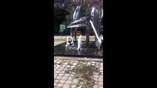 John Junior My Crazy Smooth Fox Terrier