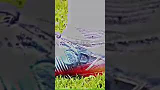 Ronaldo Kendi̇ne İyi̇ Bak