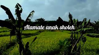 SHOLAWAT TERBARU FULL ALBUM NING UMI LAILA 2024 ( VIDEO VERSION ) .