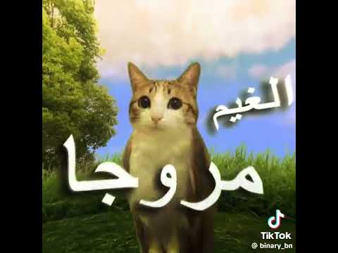 عجبني التصمين اسم حساب صاحب الفيديو على تيك توك Binary Bn