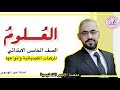 المركبات الكيميائية وانواعها
