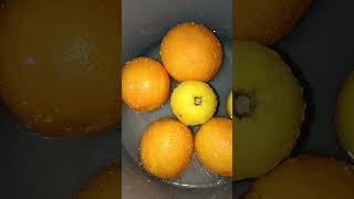 Satifying Citrus ASMR 🍊✨ #shorts