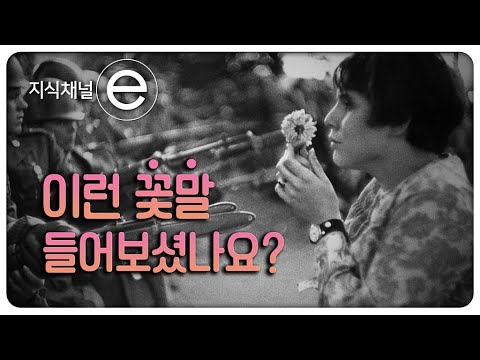 이 작은 것에 우리를 무장해제시키는 힘이 있다고? ｜[지식채널e]