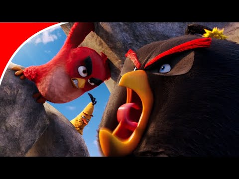 Кадр из фильма «Angry Birds в кино»